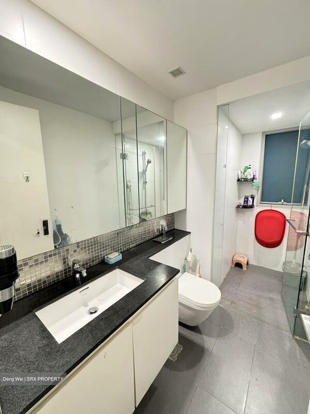The Minton (D19), Condominium #496317251